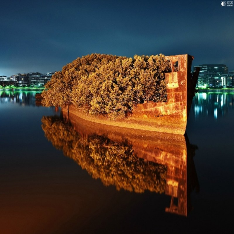 Заброшенное судно SS Ayrfield,Floating forest - плавающий лес