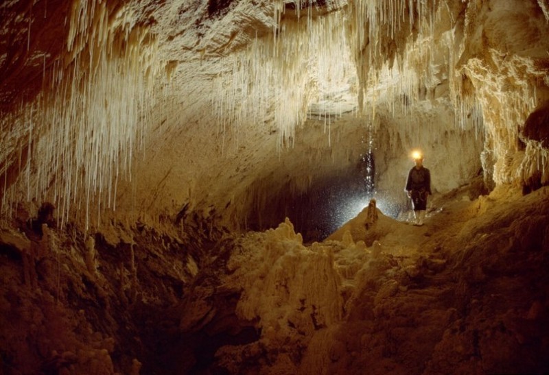 Пещеры светлячков, Вайтомо, Новая Зеландия