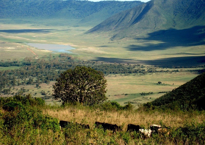 Нгоронгоро: необычный биозаповедник в кратере