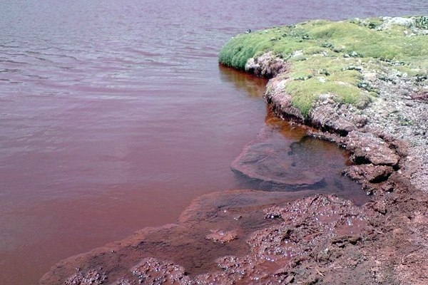 Красная Лагуна Красная Лагуна