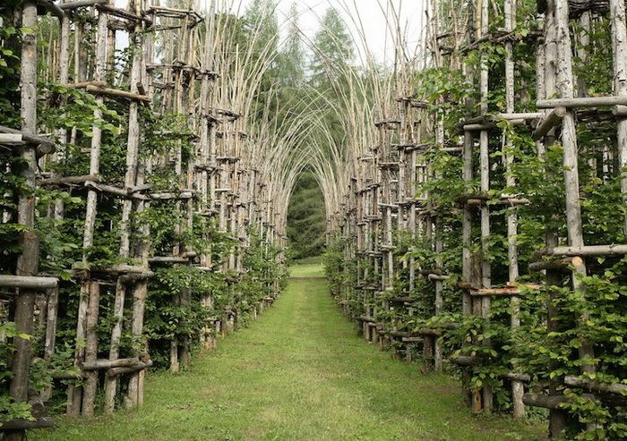Живой собор из растений Cattedrale Vegetale, Италия Живой собор из растений Cattedrale Vegetale, Италия