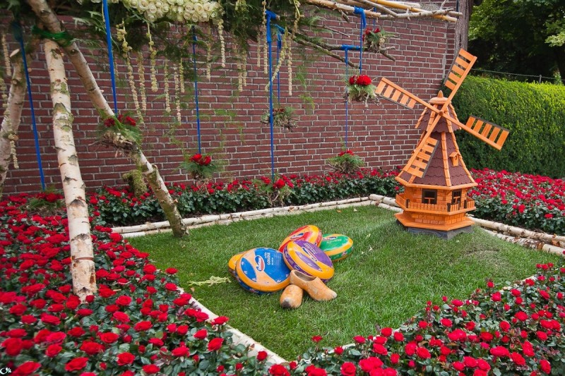 Фестиваль Роз в голландской деревушке Лоттум