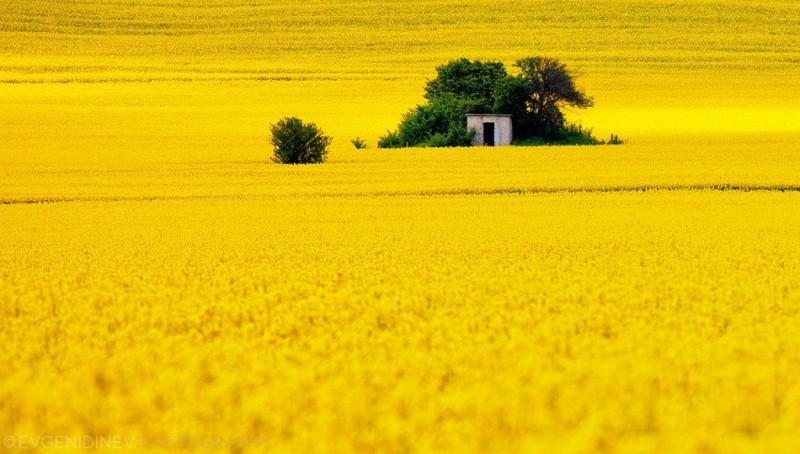 Необыкновенная красота Болгарии в снимках фотографа Евгения Динева.