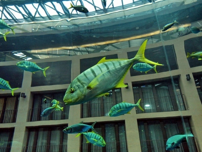 AquaDom AquaDom