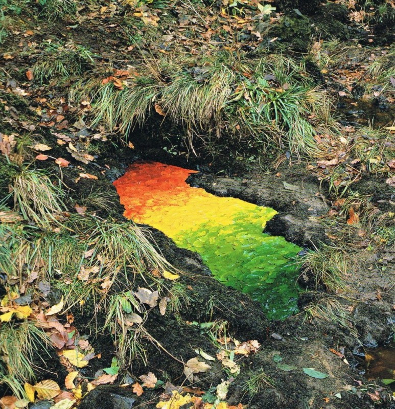 Природный арт Andy Goldsworthy