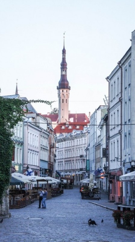 Прекрасный город Таллинн в фотографиях Александра Фролова