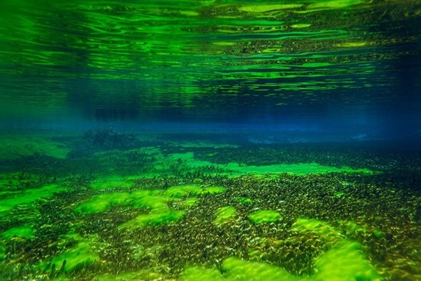 Голубое Озеро - одно из чистейших озер на планете