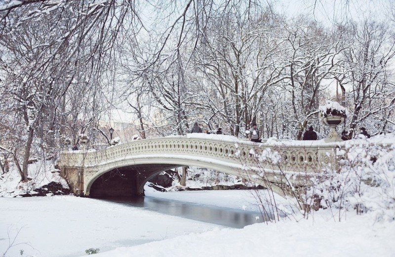 Зимний Центральный парк, Нью-Йорк