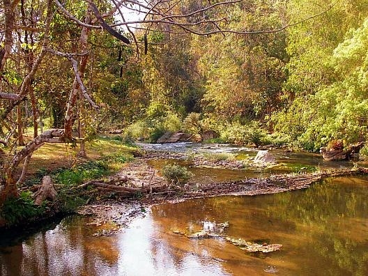 Пещера рыб