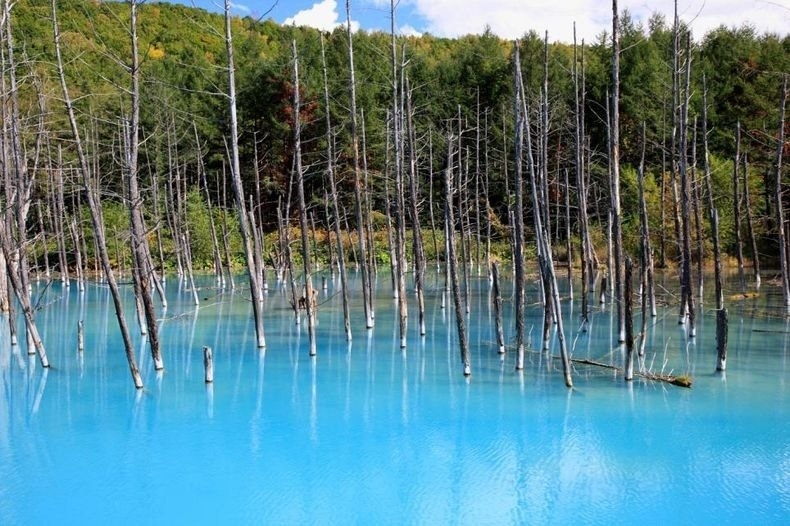 Голубой пруд (Blue Pond), Хоккайдо, Япония.