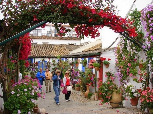 Фестиваль цветов Patios de Cordoba