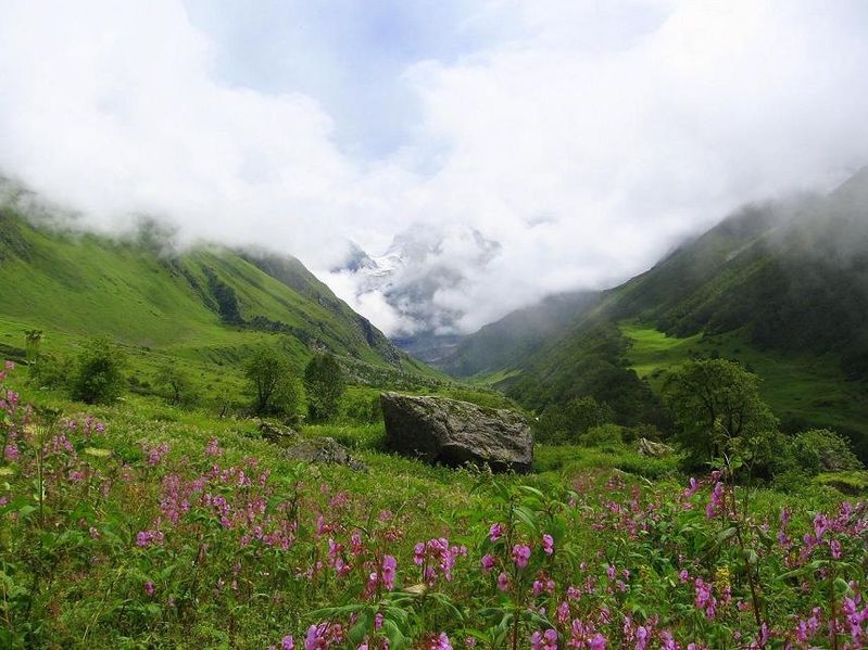 Долина цветов в Гималаях