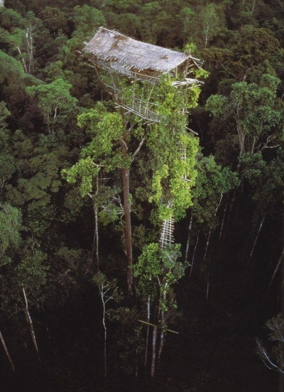 Заброшенный дом на острове Новая Гвинея