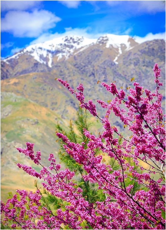 Таджикистан - сокровище посреди гор и степей Средней Азии