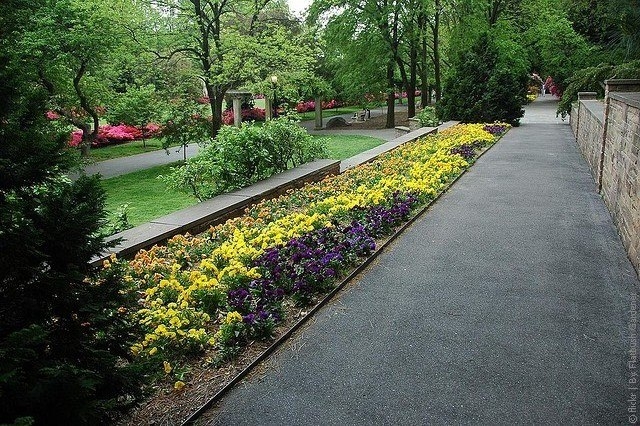 Бруклинский ботанический сад в Нью-Йорке, США 1