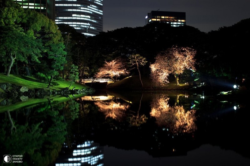 Cады Хамарикю в Токио в ночное время
