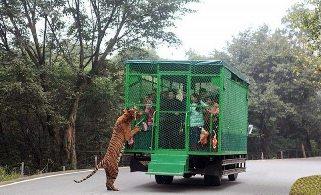 Зоопарк наоборот