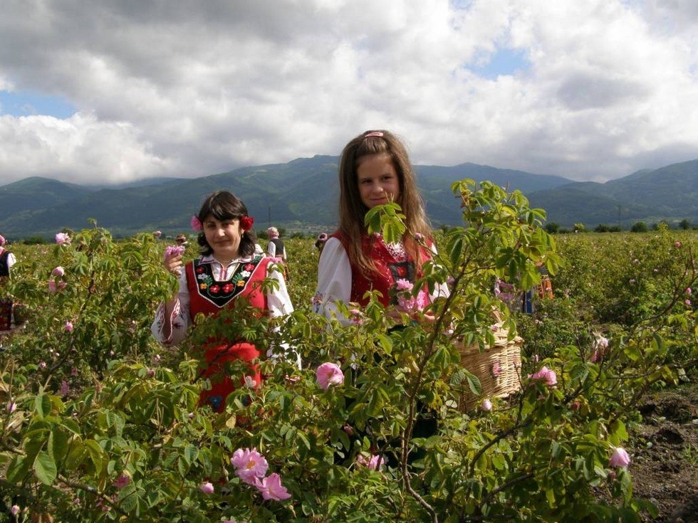 Долина роз Болгария фестиваль