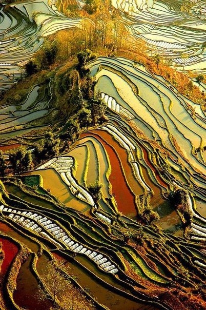 Нет, это не картины Ван Гога. Это Китай, провинция Юньнань.