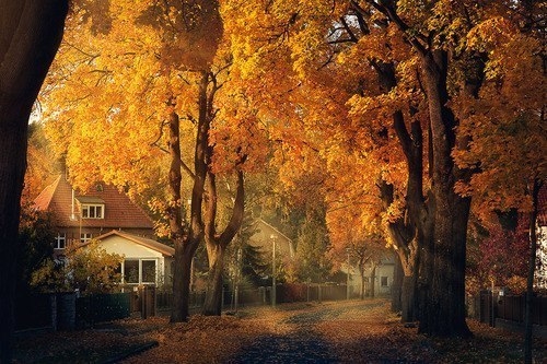 Осенний Берлин, Германия