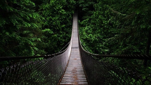 Удивительный мост через реку Капилано в Ванкувере, Канада
