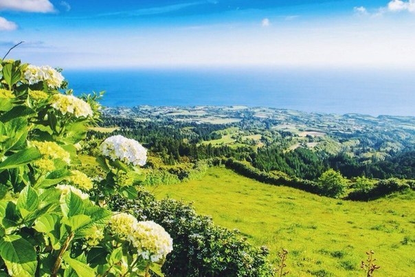 Азорские острова, Португалия