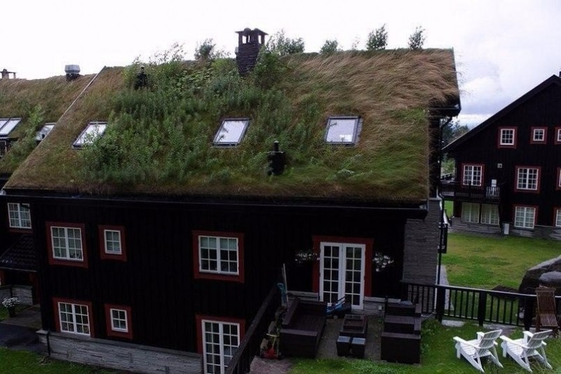 Живые крыши домов в Норвегии.