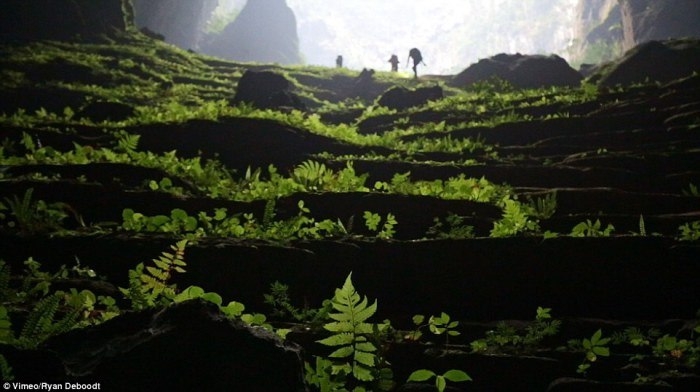Крупнейшая пещера в мире Hang Son Doong, Вьетнам Крупнейшая пещера в мире Hang Son Doong, Вьетнам