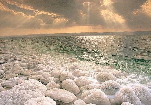 Осолоневшая красота мертвого моря Осолоневшая красота мертвого моря