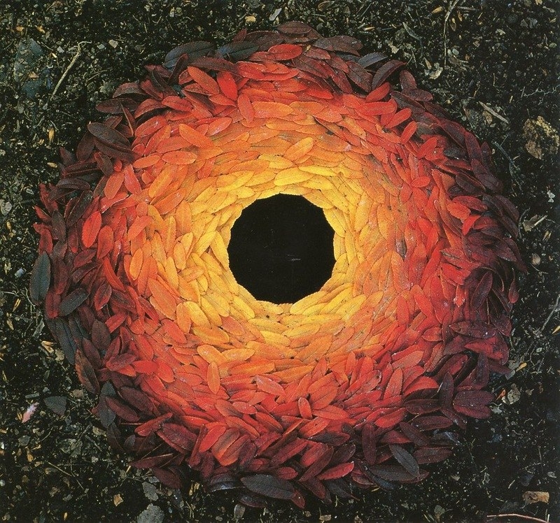 Природный арт Andy Goldsworthy