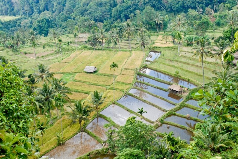 Остров Ломбок (Lombok), Индонезия.