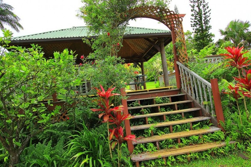 Потрясающие сады острова Мауи, Гавайский архипелаг 4