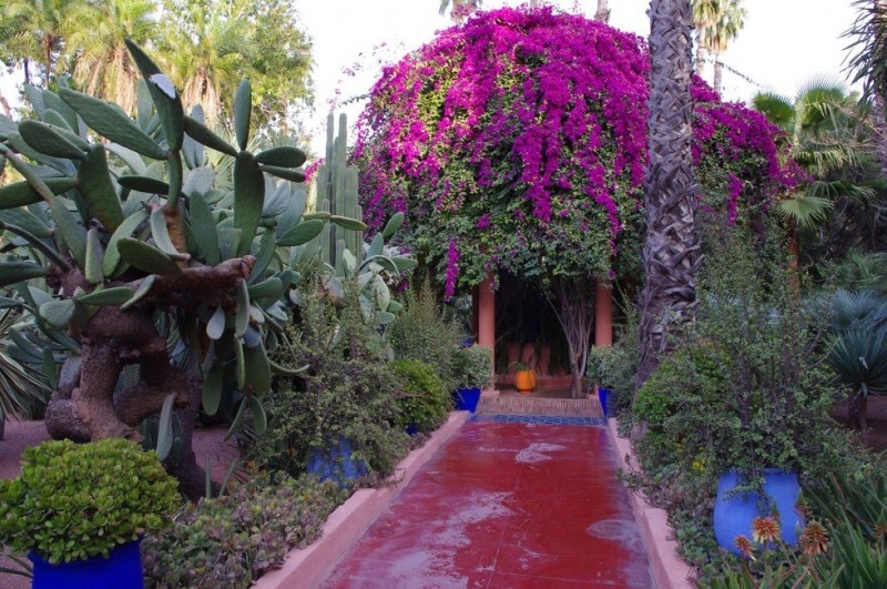 Сад Мажореля: гармония флоры, моды и искусства (Марокко)