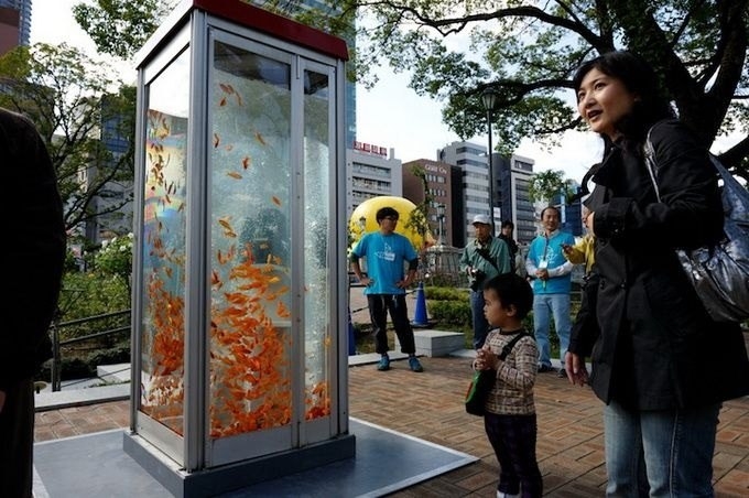 Золотые рыбки на улицах Токио
