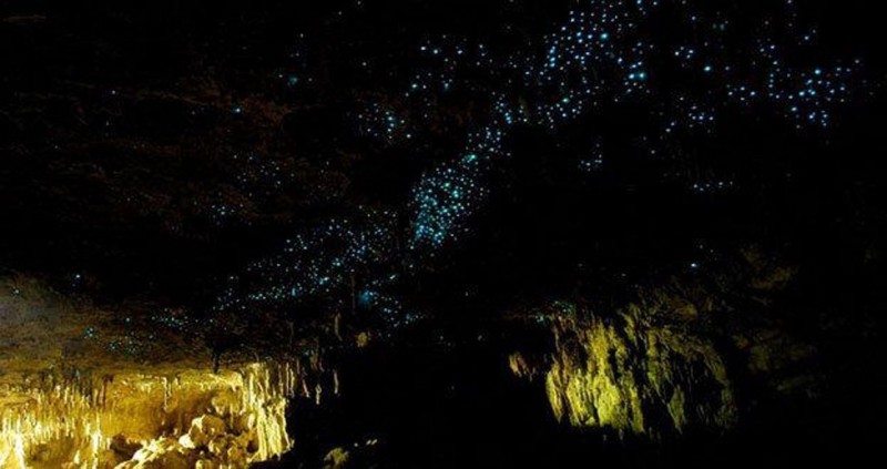 Пещеры Светлячков