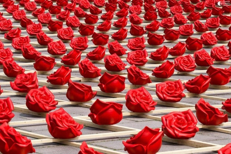 Тысяча алых роз Цвайбрюккенa