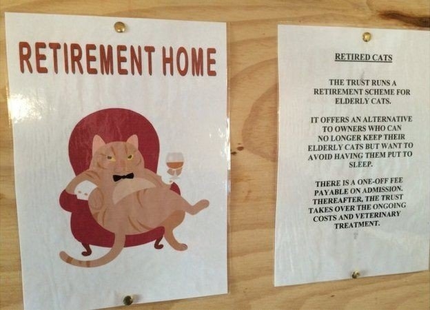 Дом для престарелых котов Дом для престарелых котов