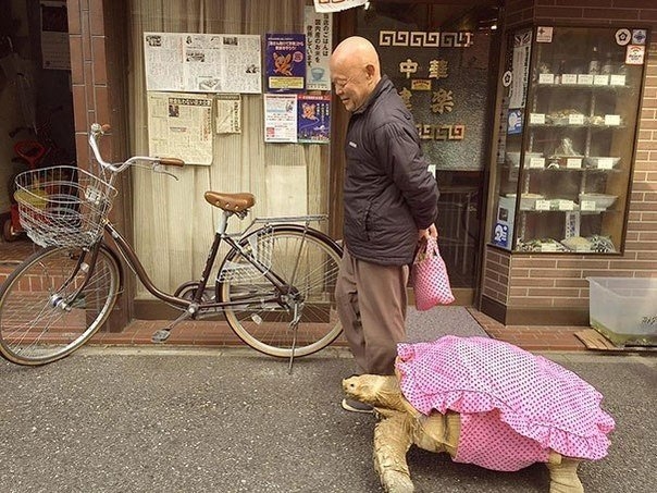 Самый терпеливый хозяин на свете Самый терпеливый хозяин на свете