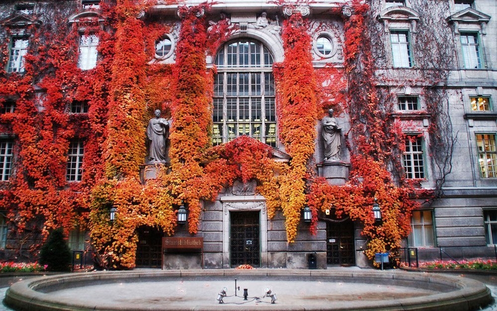 Убранною плющом. Девичий виноград осень. Красный дикий виноград. Осень архитектура. Здания осенью.