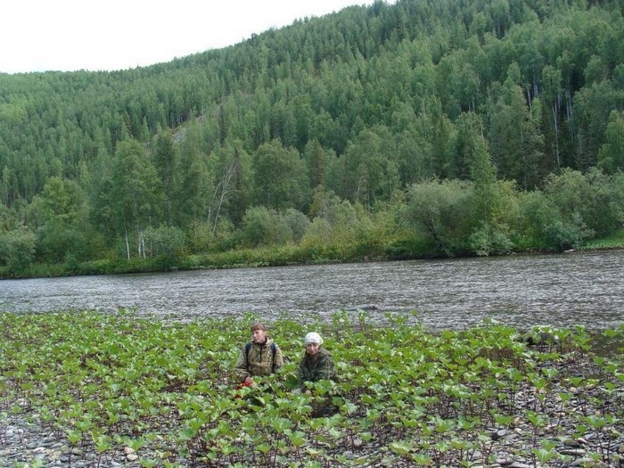 Енисейский кряж, Россия