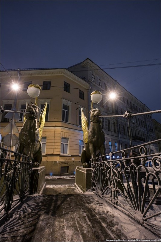 Грифоны Банковского моста. Грифоны Банковского моста.