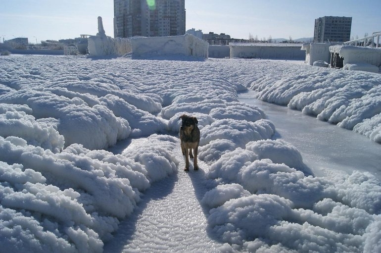 The day after tomorrow или одна неделя портового города