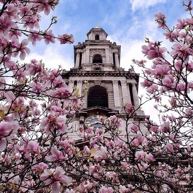 Цветущий Лондон, Англия