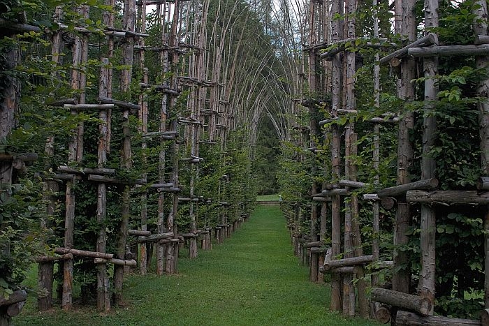 Живой собор из растений Cattedrale Vegetale, Италия