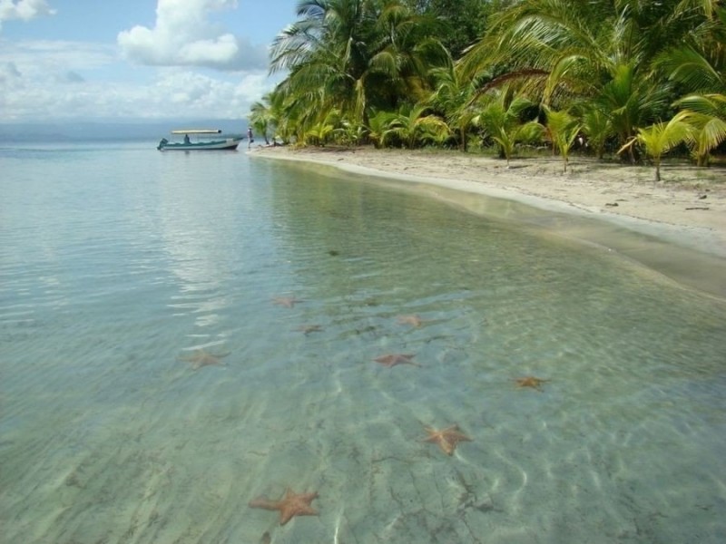 Пляж морских звезд - Boca del Drago, Панама