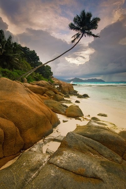 Сейшельские острова глазами американского фотографа Michael Anderson