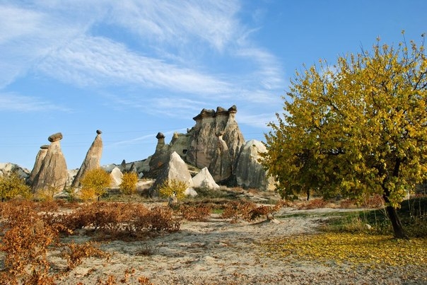 Туманная турецкая осень