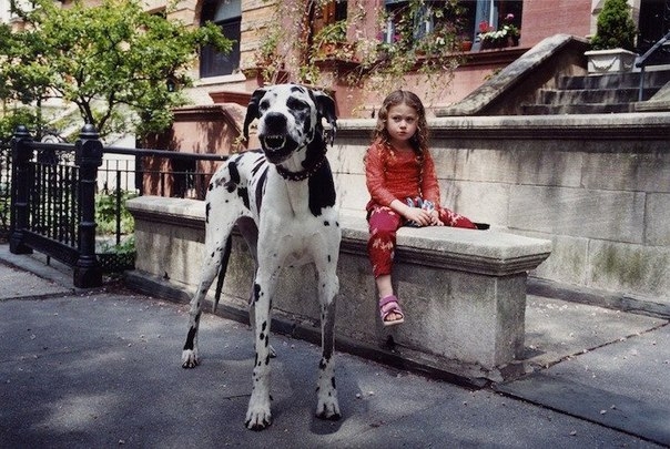 Фотограф из Нью-Джерси Робин Шварц уже в течение 10 лет фотографирует свою дочь Амелию с различными 