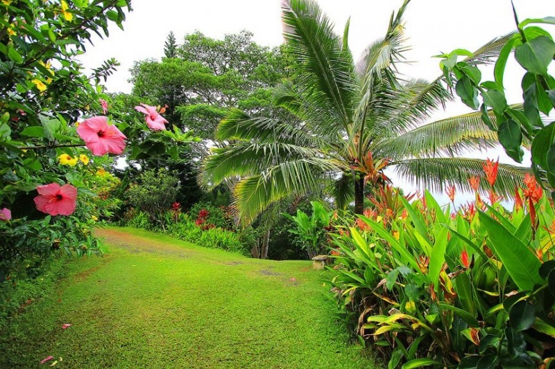 Потрясающие сады острова Мауи, Гавайский архипелаг 2