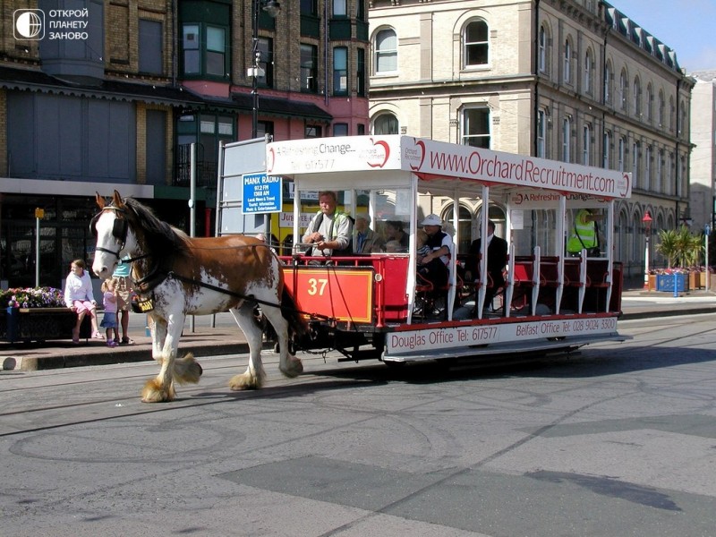 Конка Дугласа — трамвай на конной тяге